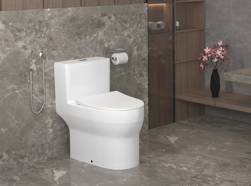High Commode Switch High Commode Price in Bangladesh: A Water Closet Buying Guide - Charu ...